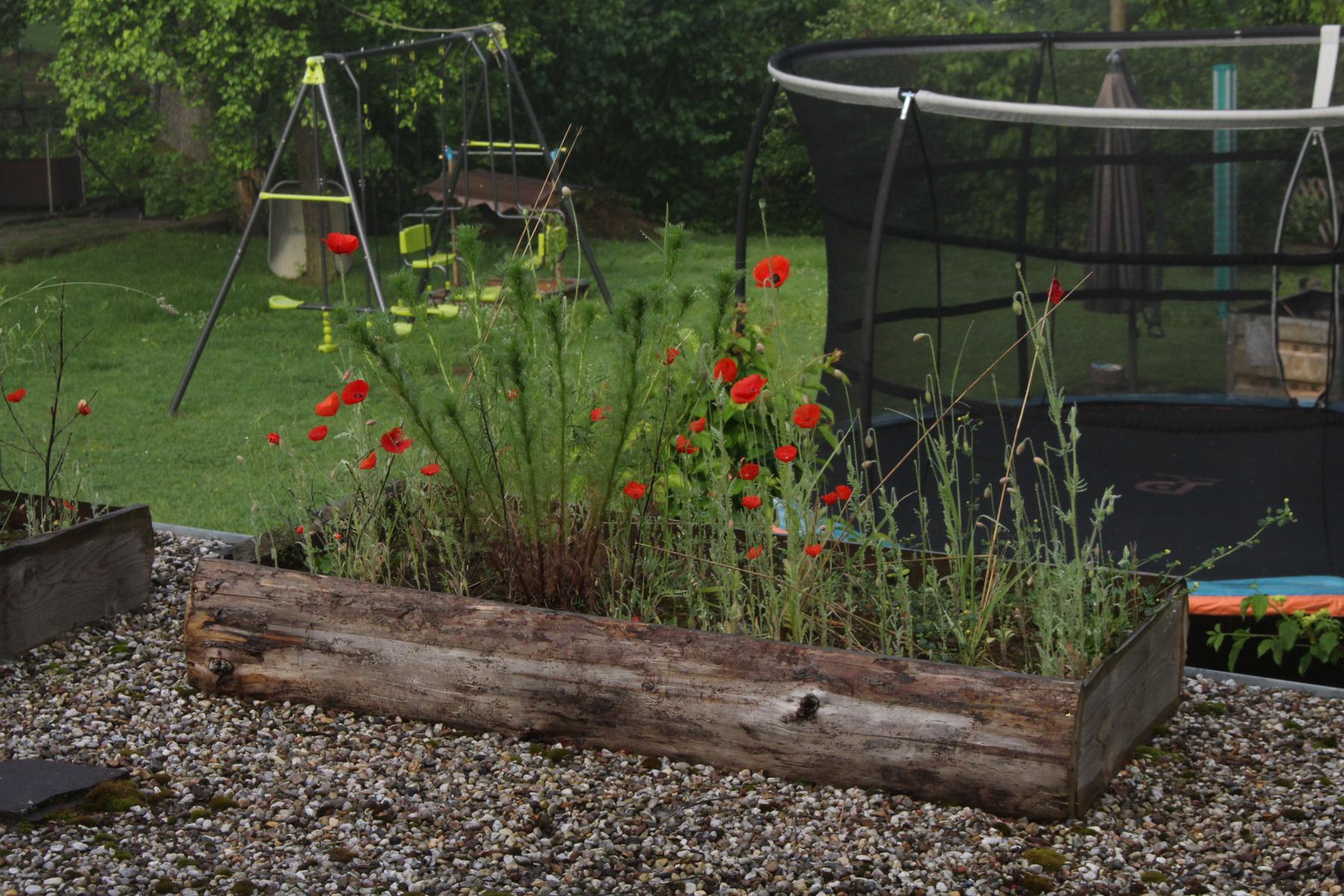 So einfach geht naturnahes Gärtnern nn.de